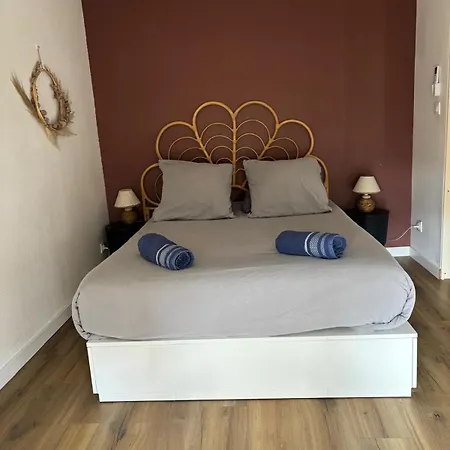 Cosy Au Pied Du Pont Vieux 아파트